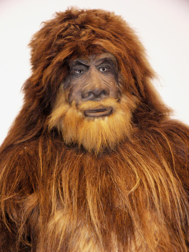 Full size bigfoot replica at Maine Cryptozoology Museum.